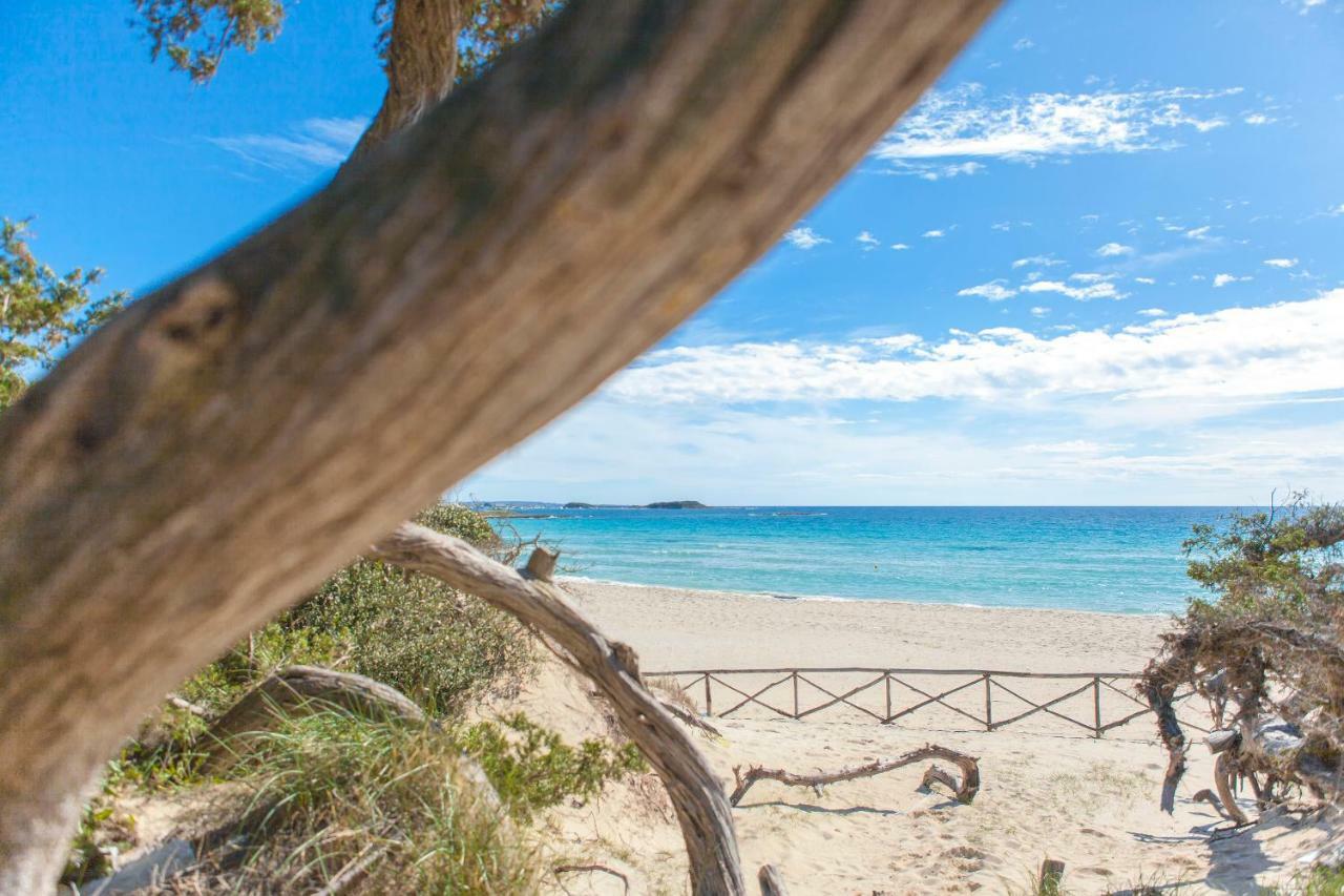 Sunkiss Apartment 500Mt Dal Mare Porto Cesareo Εξωτερικό φωτογραφία